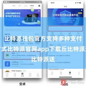 比特派钱包官方支持多种支付方式比特派官网app下载丘比特派送