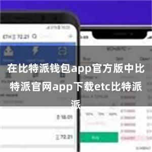 在比特派钱包app官方版中比特派官网app下载etc比特派